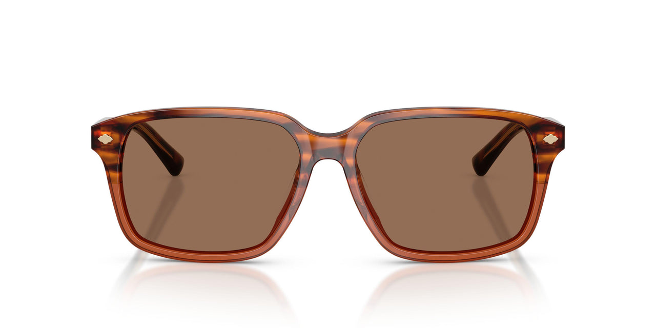 617573 - Brown - Brown