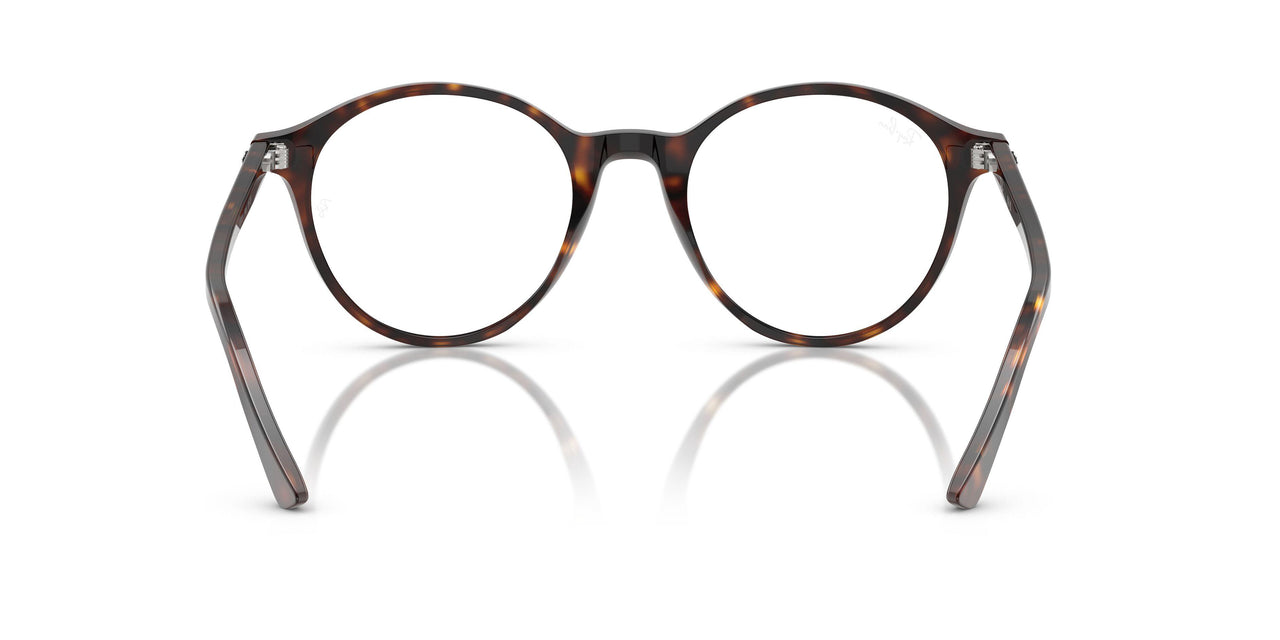 902/GH - Tortoise - Transitions 8 Grey