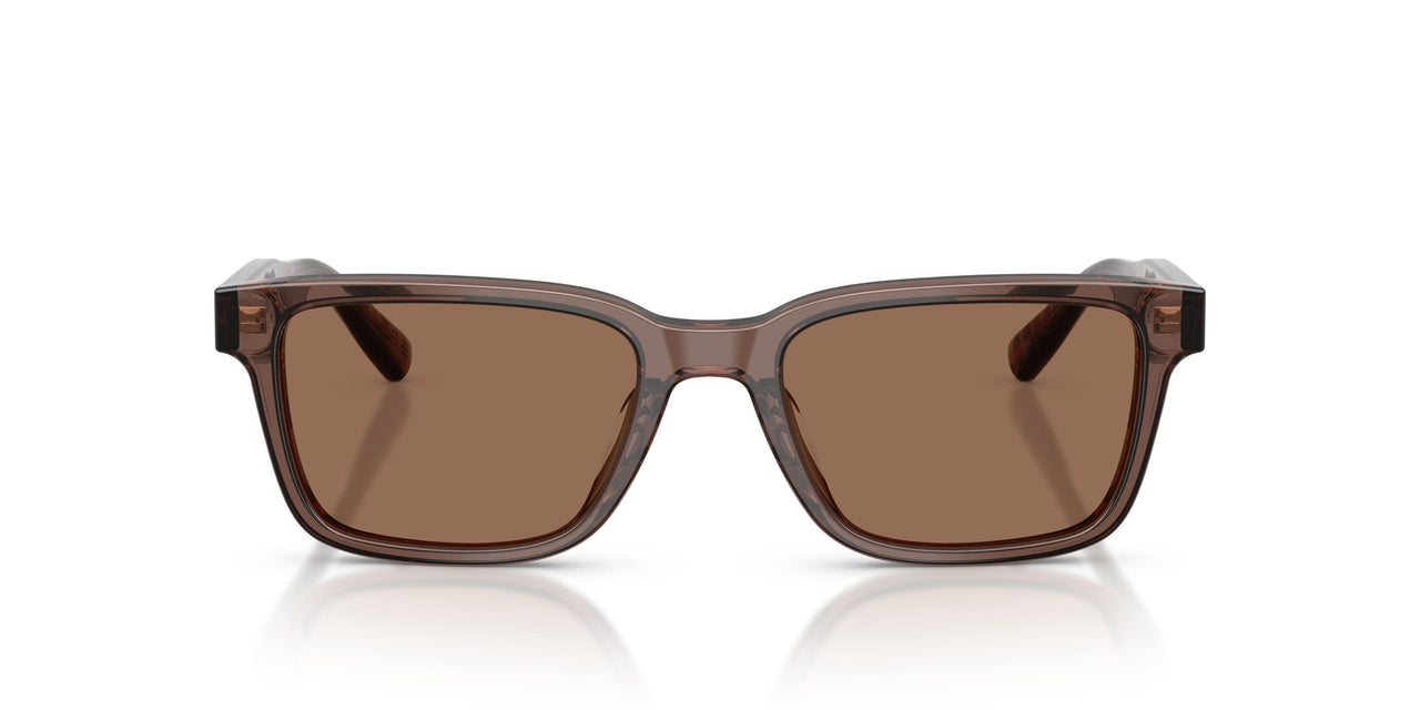 617673 - Brown - Brown