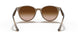 616613 - Light Brown - Brown Gradient Dark Brown