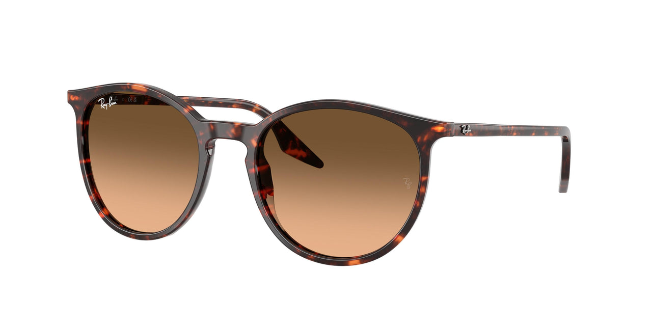Ray-Ban 2204 Sunglasses