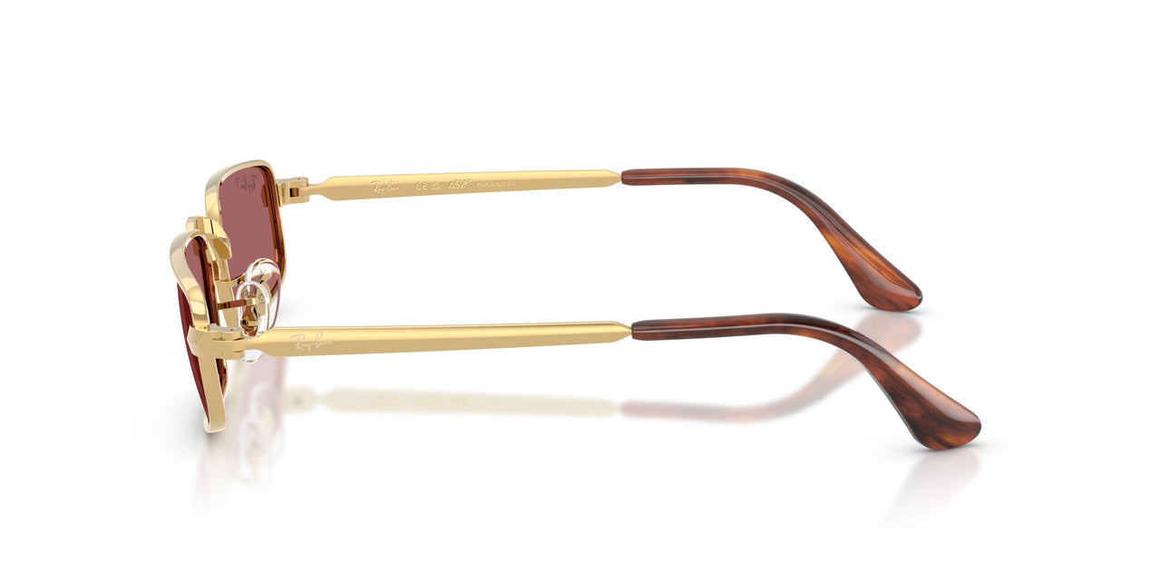 001/AF - Gold - Purple Polarized