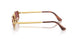 001/AF - Gold - Purple Polarized