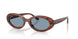 954/56 - Brown - Blue