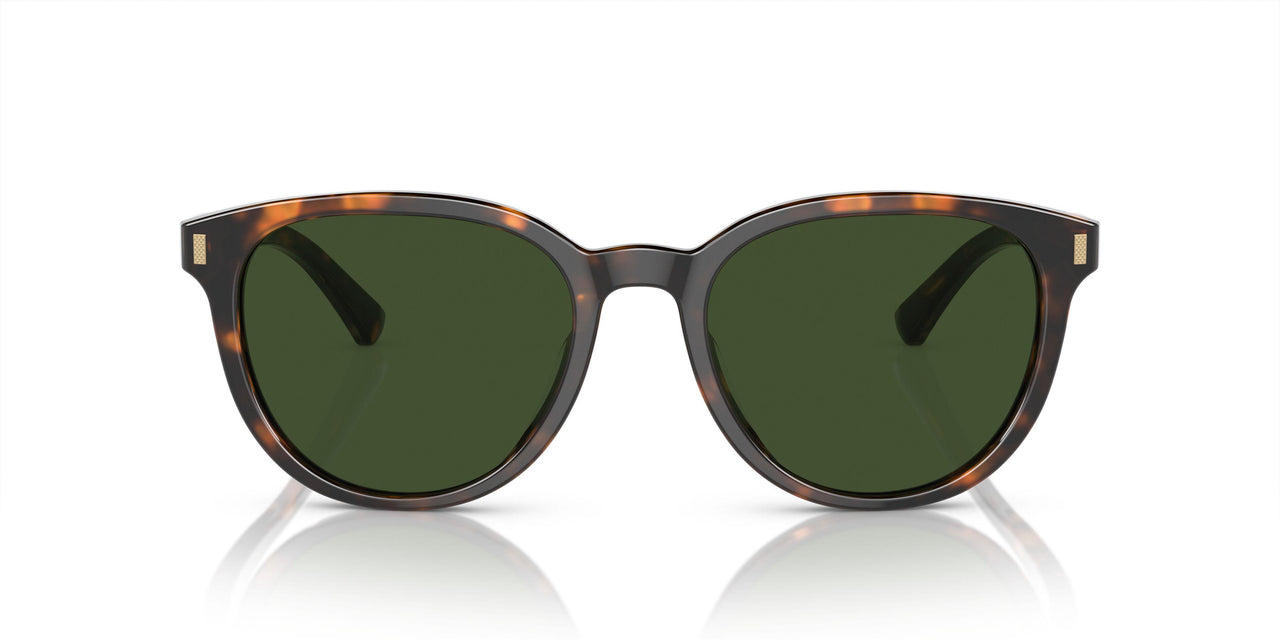 616171 - Tortoise - Solid Dark Green