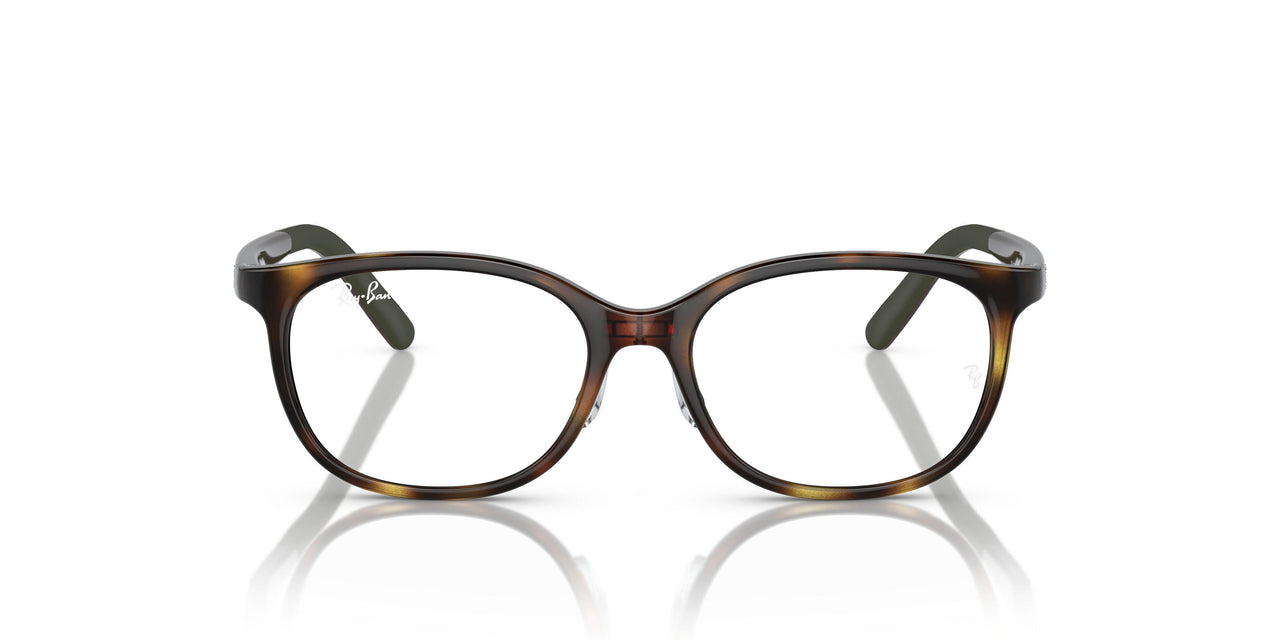 3863 - Tortoise