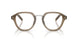 18T1O1 - Brown