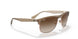 616613 - Light Brown - Brown Gradient Dark Brown