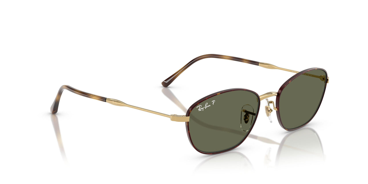 927358 - Tortoise - G-15 Green
