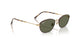 927358 - Tortoise - G-15 Green