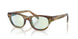 27J20X - Brown - Champagne Flash Bio