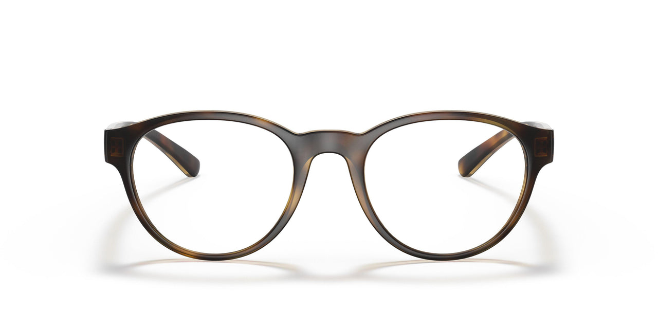 5003 - Tortoise