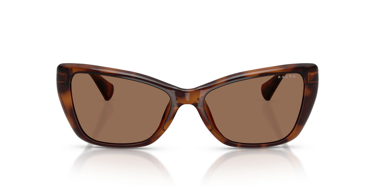 614973 - Tortoise - Brown