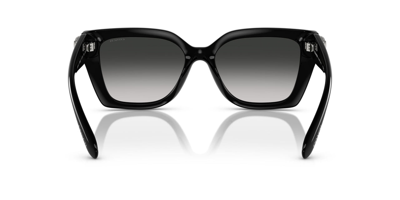 50023C - Black - Grey Gradient