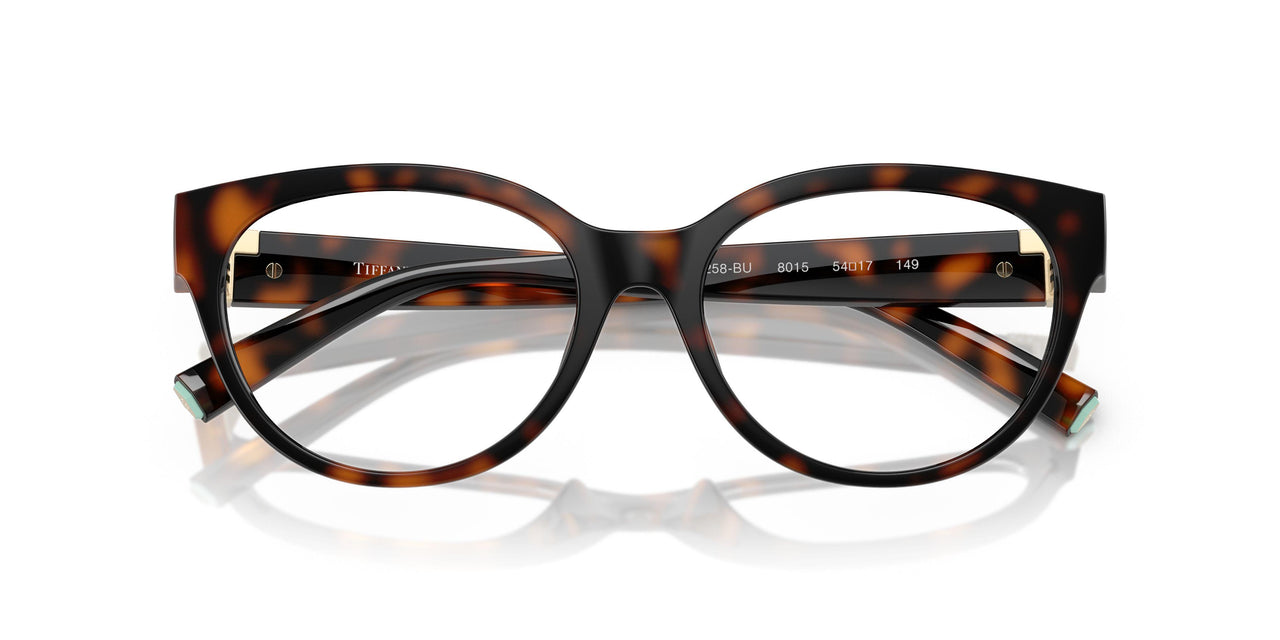 8015 - Tortoise