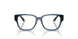 3009 - Blue