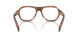 24G1O1 - Brown