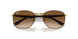 900951 - Brown - Clear Gradient Brown