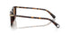 100273 - Tortoise - Dark Brown