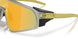 940424 - Grey - Prizm 24k