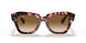 133451 - Havana - Brown Gradient