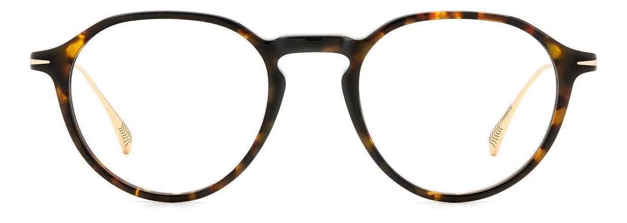 02IK-00 - HAVANA GOLD