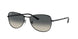 Ray-Ban 3733 Sunglasses