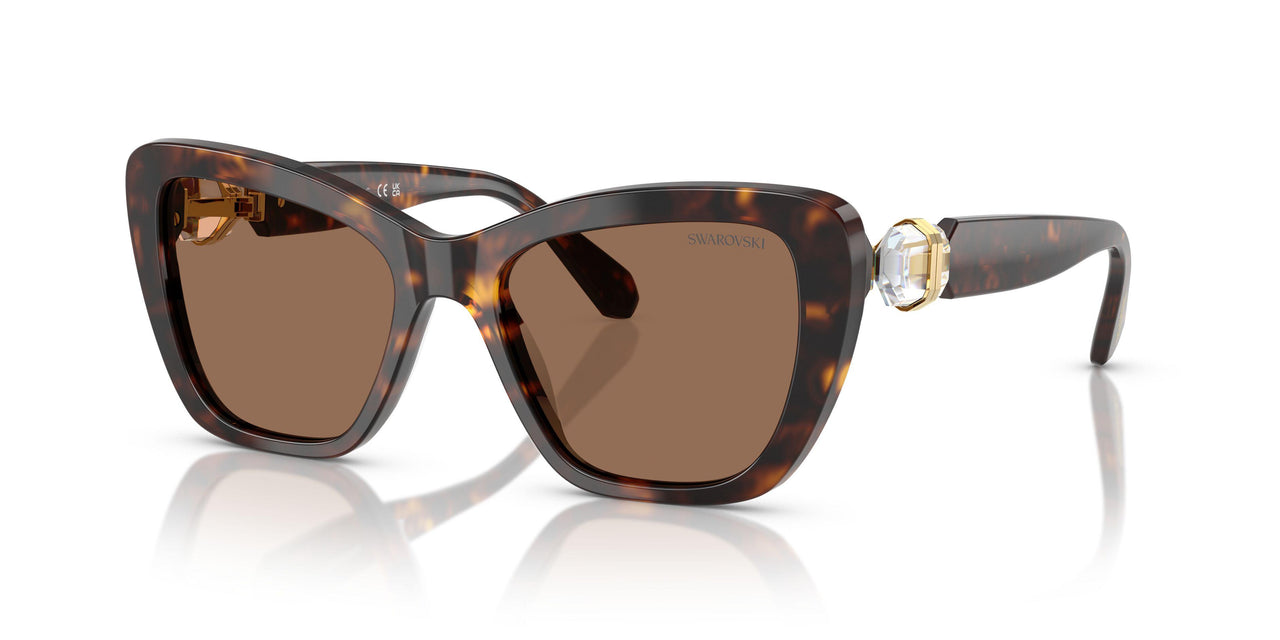 100273 - Tortoise - Dark Brown