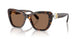 100273 - Tortoise - Dark Brown