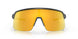 946313 - Grey - Prizm 24k