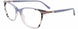 20 - Grey & Grey Tortoise / Grey