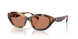 Tory Burch 7232U Sunglasses
