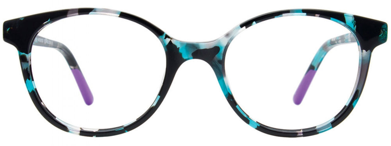 60 - Teal Tortoise & Purple