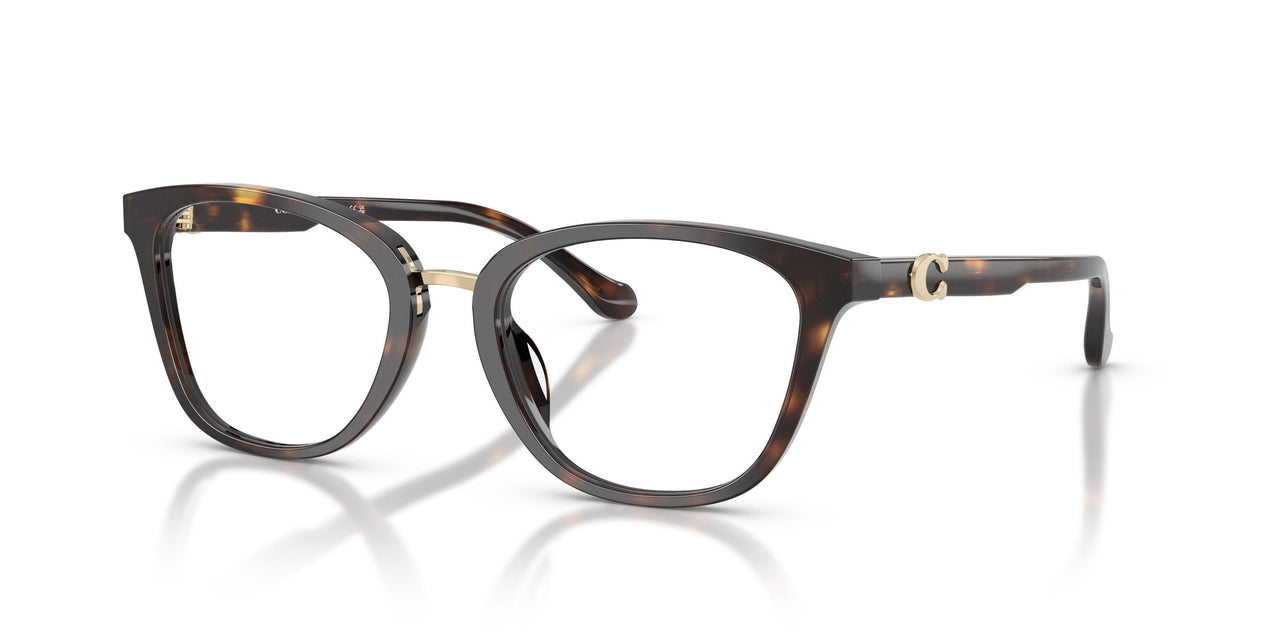 5120 - Tortoise