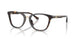 5120 - Tortoise