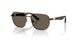 3434/3 - Brown - Dark Brown