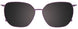 80 - Transparent Dark Purple & Purple Solid Trim