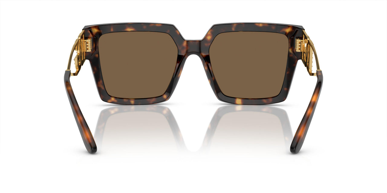 502/73 - Tortoise - Dark Brown