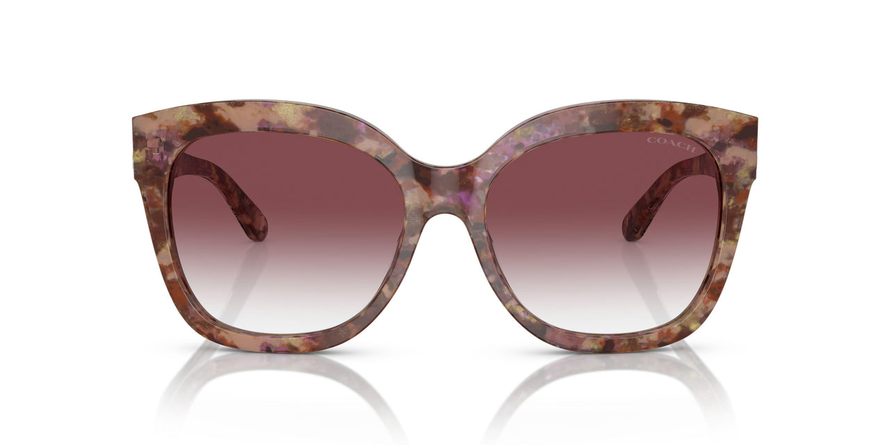 57398H - Tortoise - Purple Clear Gradient