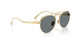 313/80 - Gold - Blue