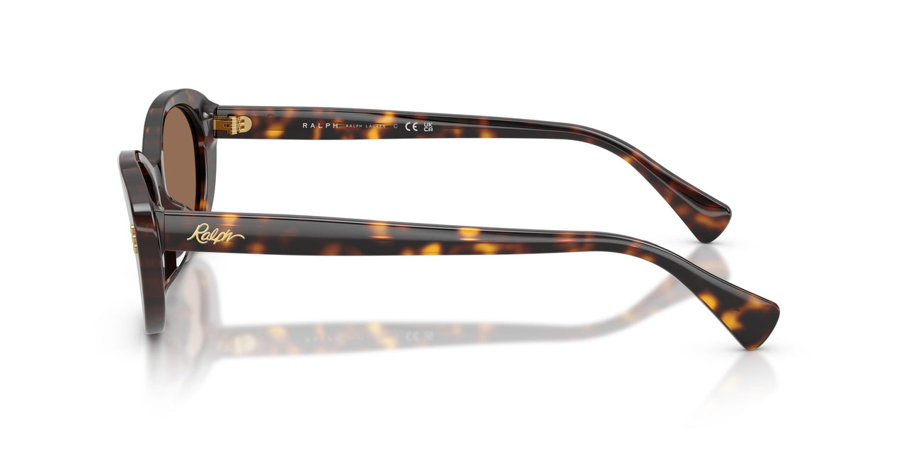 500373 - Brown - Brown
