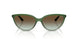 3259E8 - Green - Green Gradient
