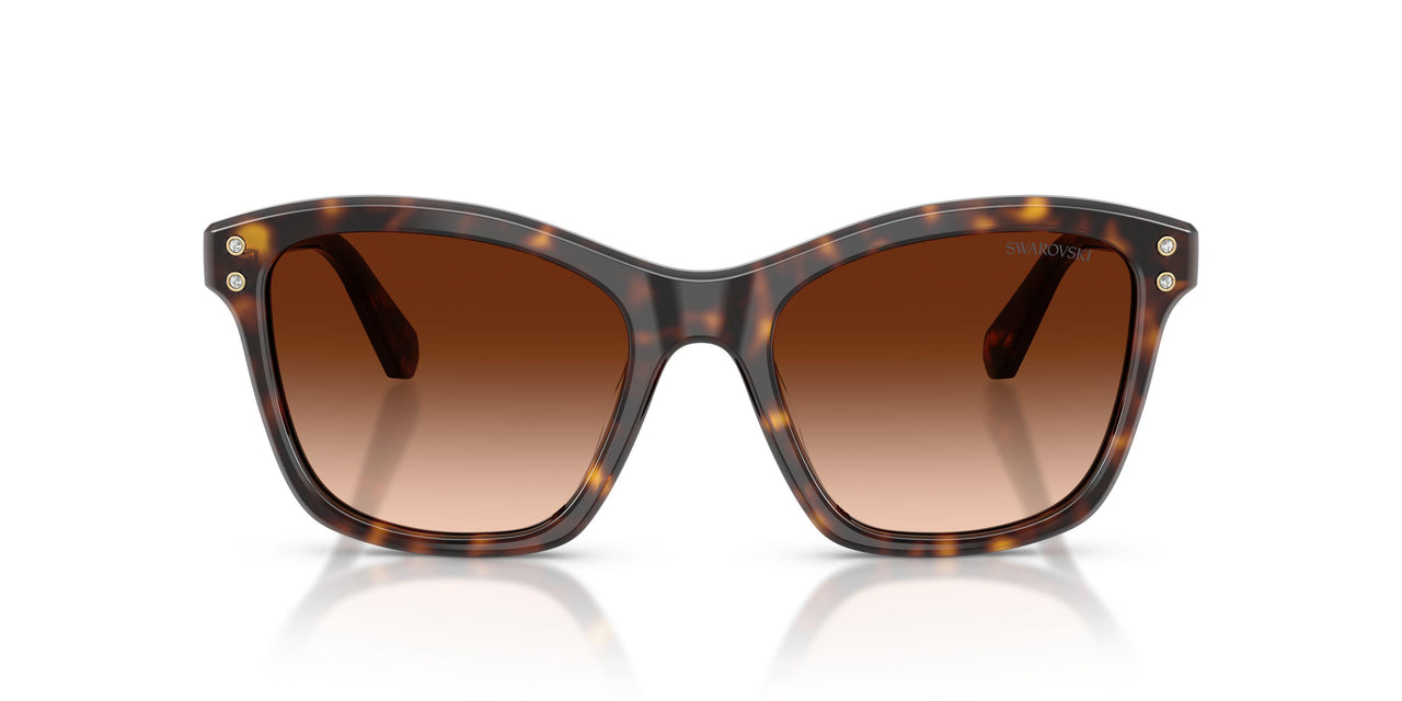 100274 - Tortoise - Gradient Brown