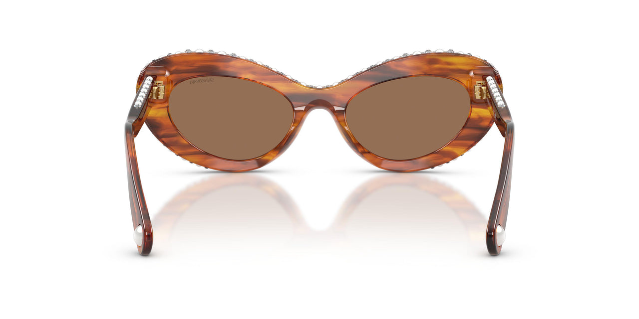 109173 - Brown - Dark Brown