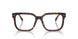 5003 - Brown