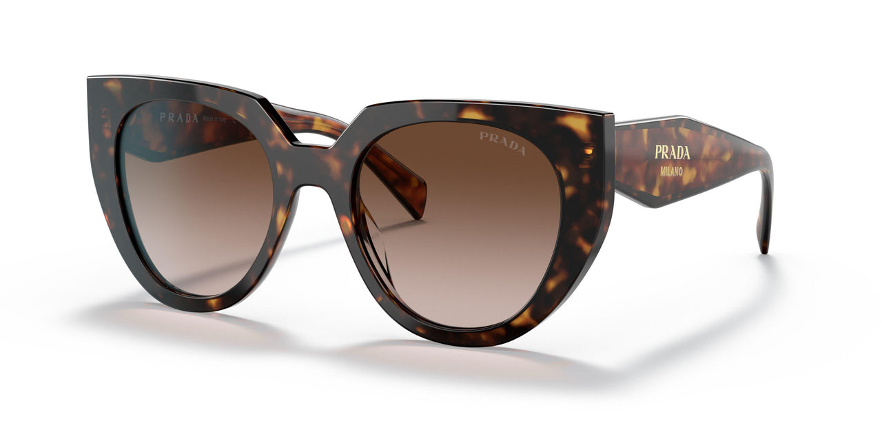 2AU6S1 - Havana - Brown Gradient