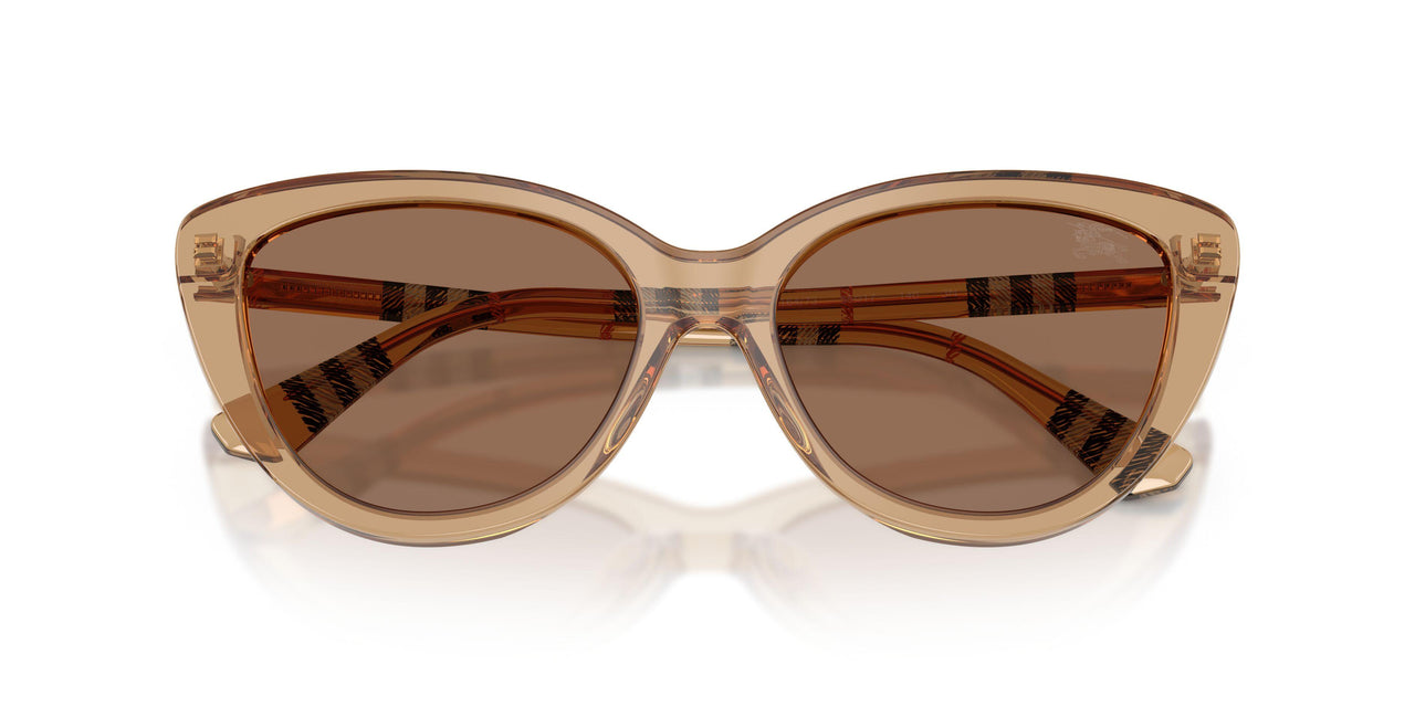 416473 - Beige - Dark Brown