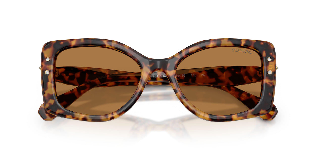 104073 - Tortoise - Bronze