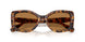 104073 - Tortoise - Bronze