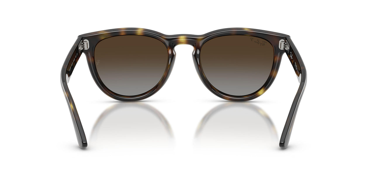 710/T5 - Tortoise - Polarized Light Grey Gradient Brown